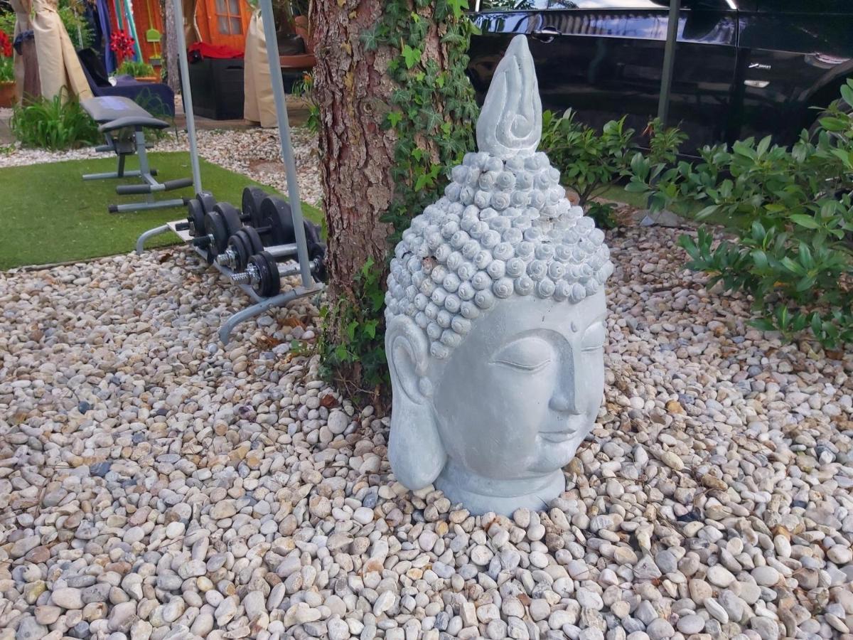 Relax Bungalow Terrace, Glamping Fahaz 시오포크 외부 사진